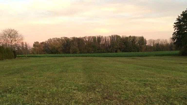 Zonin Jazz w/ Koloman (October 2021)