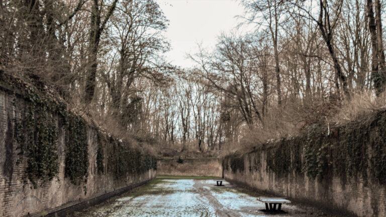 Tales Of The Four Seasons - Winter w/ Korkut Elbay (January 2022)