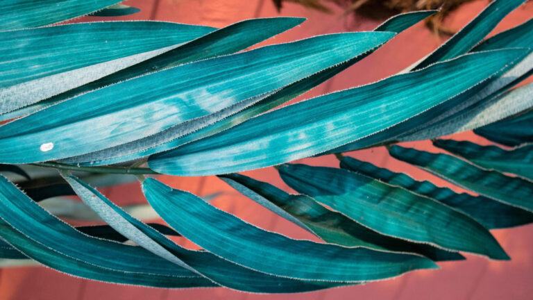 Zonin Jazz w/ Koloman (February 2022)