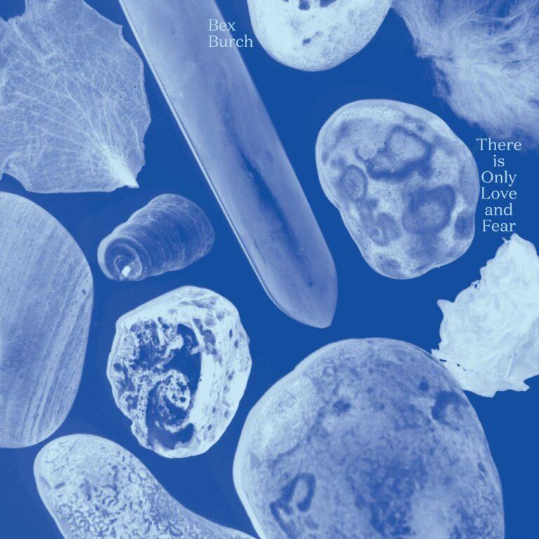 Bex Birch - There is Only Love and Fear